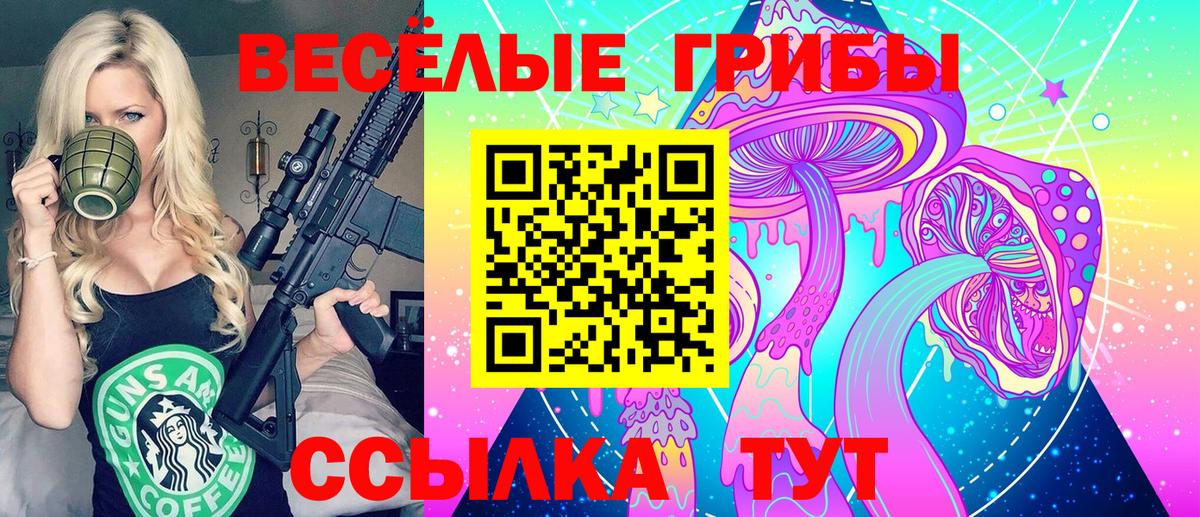 Галлюциногенные грибы мицелий  Вход с VPN  Каменск-Шахтинский  Псилоцибиновые грибы Cubensis 