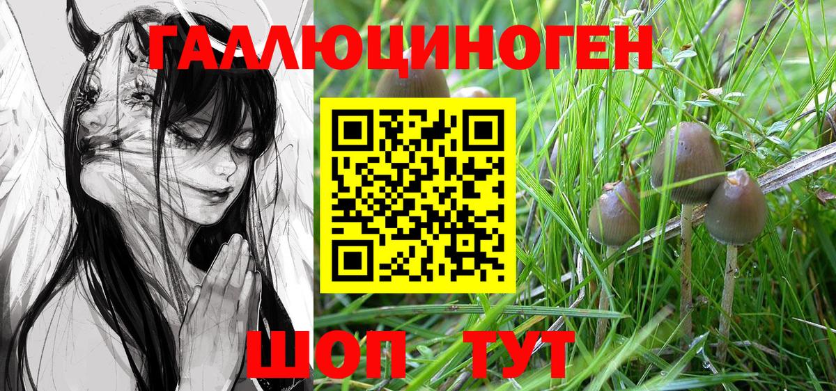 Псилоцибиновые грибы Psilocybine cubensis Каменск-Шахтинский